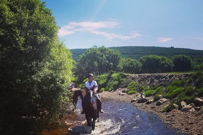 Wicklow Mountains Horse Trekking - Is $90.70 good value for 80 minutes?