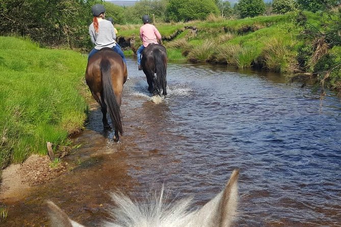 Wicklow Mountains Horse Trekking - Who will enjoy this trek most?