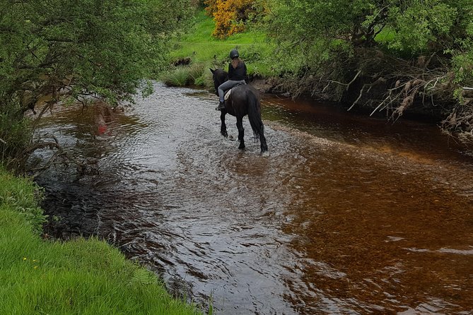 Wicklow Mountains Horse Trekking - The first lesson makes a real difference