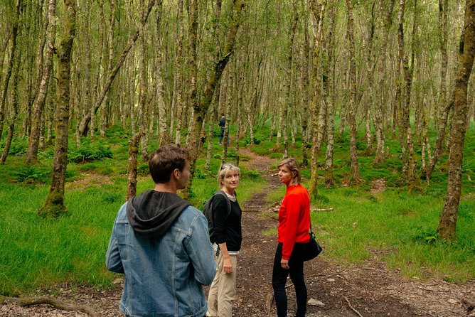 Wicklow Mountains Private Day Trip from Dublin - Laragh and the roads between the sights