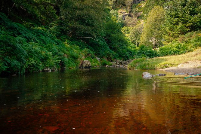 Wicklow Mountains Private Day Trip from Dublin - Why private travel changes the day