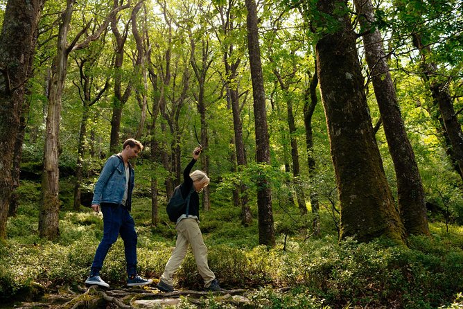 Wicklow Mountains Private Day Trip from Dublin - What the $52 price really buys