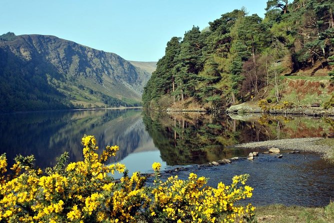 Wicklow tour of Glendalough - Lough Tay and the Guinness Lake viewpoint
