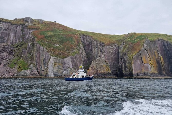 Wildlife Tour - Leaving The Pier at 9:30 am